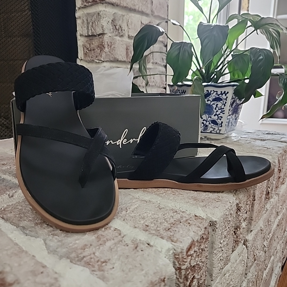 Wonderly Black and Brown Sandals